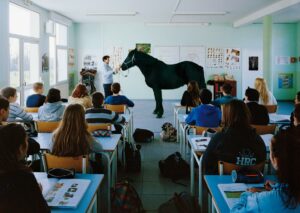 Cours de Médiation Equine