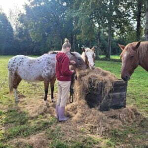Ecole de Médiation Equine en Bretagne